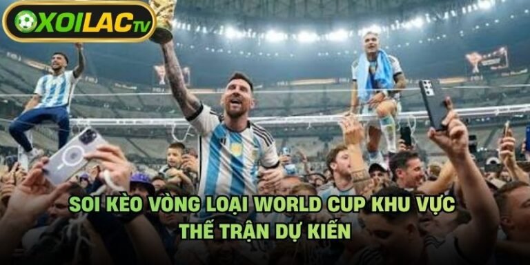 Soi Kèo Vòng Loại World Cup Khu Vực - Thế Trận Dự Kiến